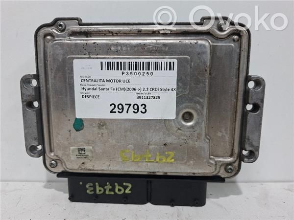 Hyundai Santa Fe Engine control unit/module ECU 