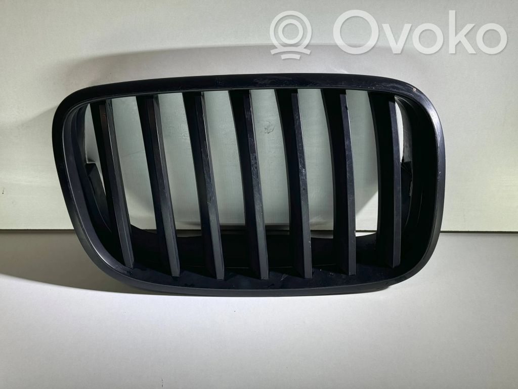 BMW X5 E70 Front grill 