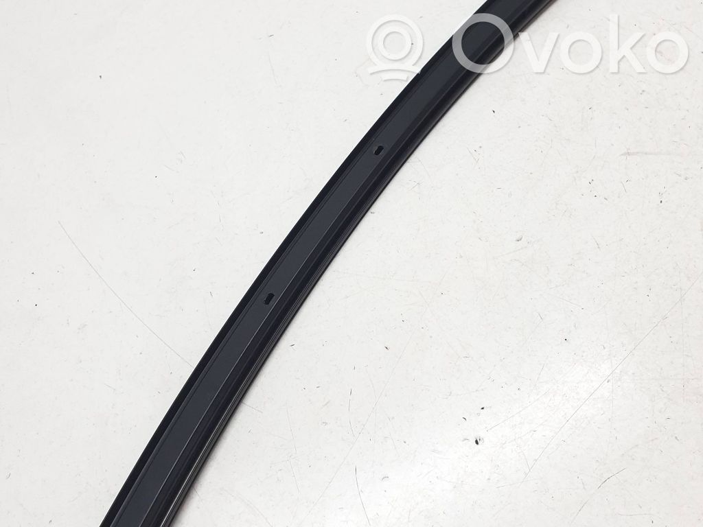 BMW 7 F01 F02 F03 F04 Listwa / Uszczelka szyby drzwi tylnych 