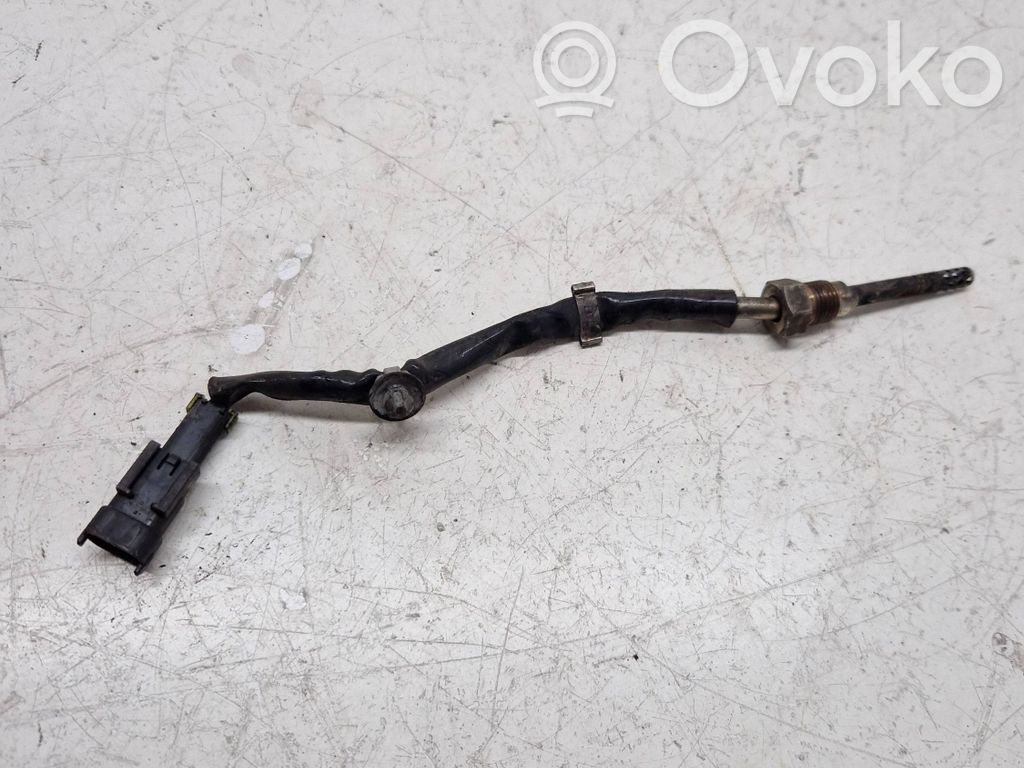 Chevrolet Captiva Exhaust gas temperature sensor 