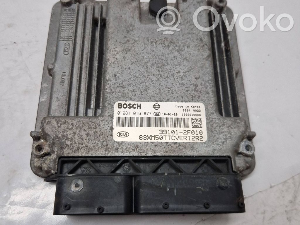 Engine control unit/module   391012F010,0281016877,1039S38966