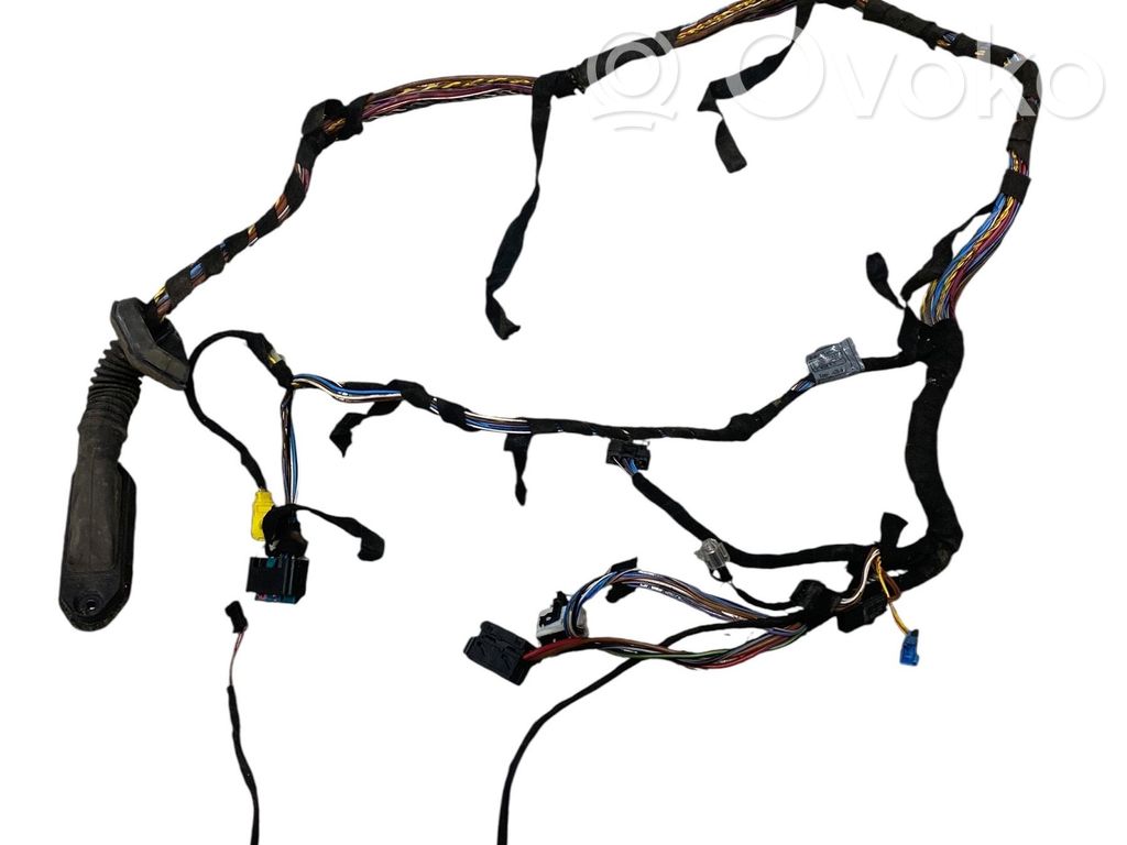 BMW X5 E53 Cableado de puerta delantera 