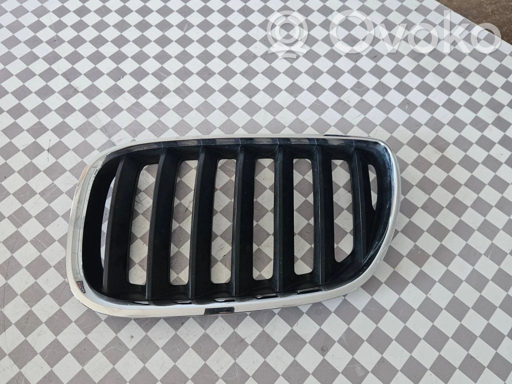 BMW X5 E53 Front grill 