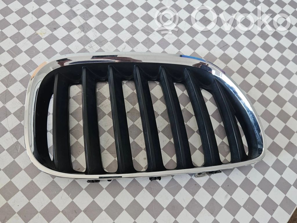 BMW X5 E53 Front grill 