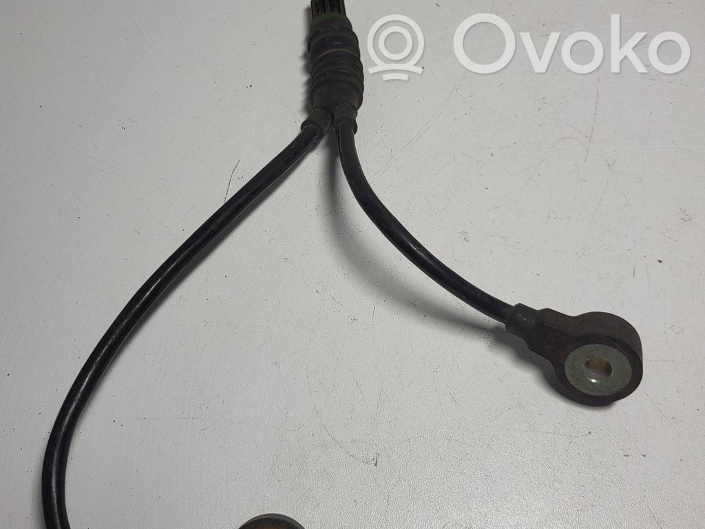 Renault Captur Belt tensioner pulley 