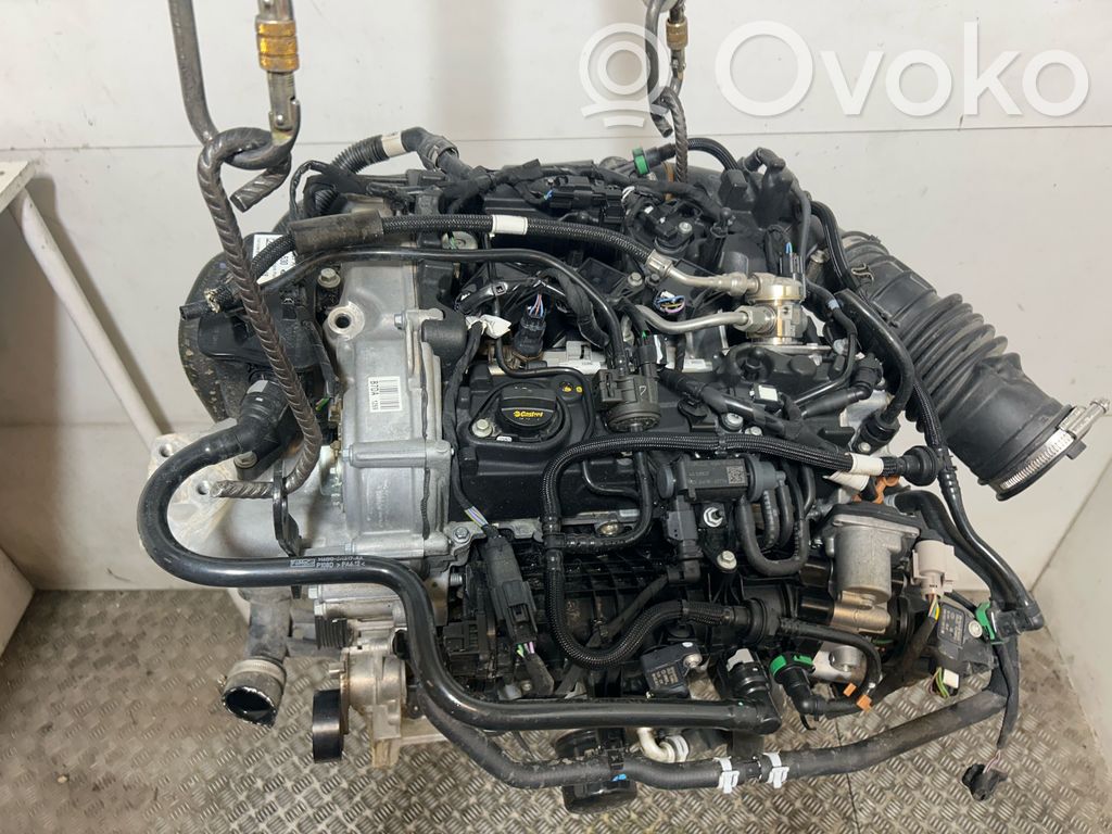 Motor   2463343