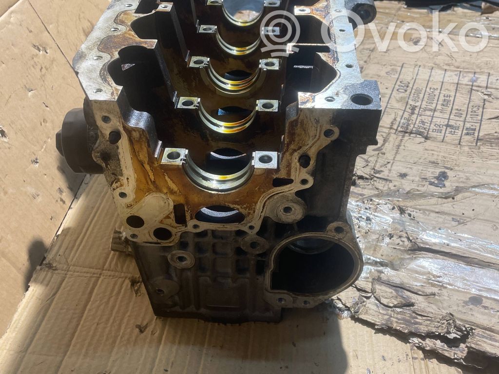 Volkswagen Polo IV 9N3 Bloque de motor 