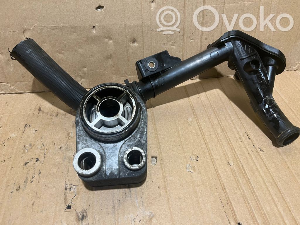 Renault Kangoo II Engine oil radiator 