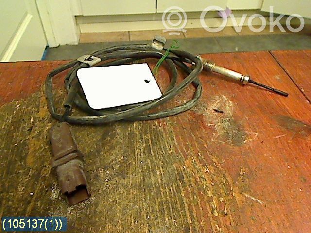 Peugeot 407 Sensor de temperatura del escape 