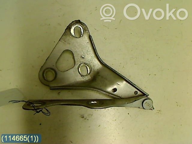 Opel Zafira A Cerniere del vano motore/cofano 