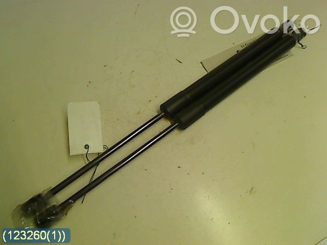 Volkswagen Golf V Puntone del portellone posteriore 
