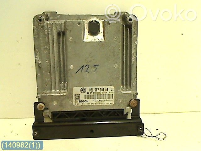 Volkswagen Amarok Injection control unit/module 