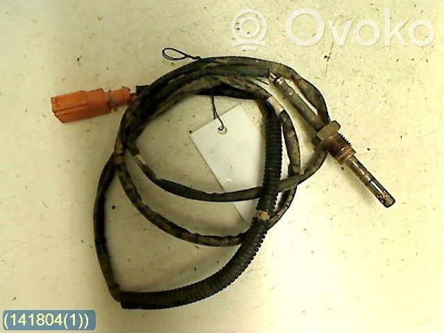 Volkswagen Amarok Exhaust gas temperature sensor 