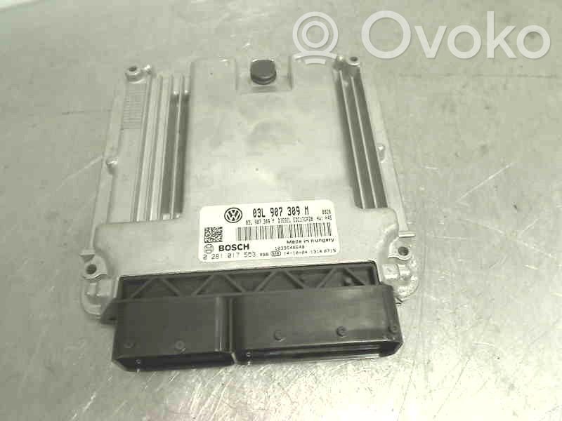 Volkswagen Transporter - Caravelle T5 Injection control unit/module 