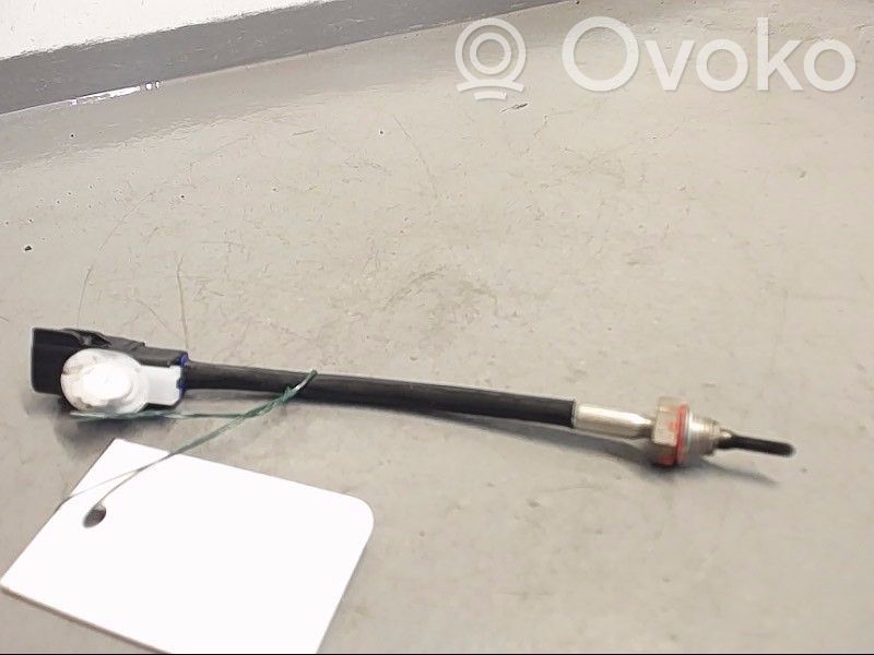 Ansaugluftsensor   6000608409,11T180680,1865A244
