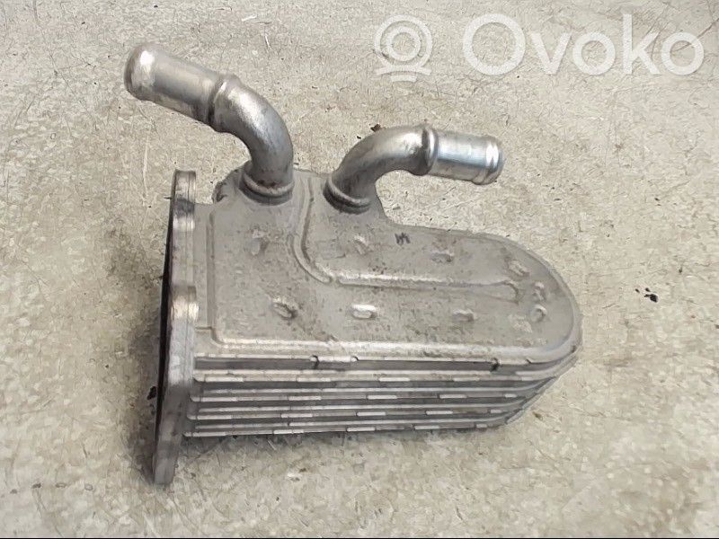 Chrysler Voyager Răcitor supapă EGR 