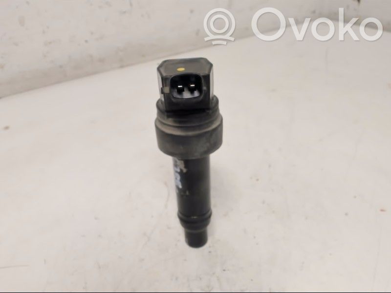 High voltage ignition coil   273012B110,273012B110