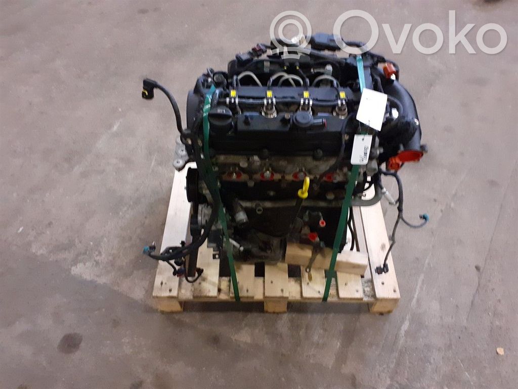 Motor   55594613