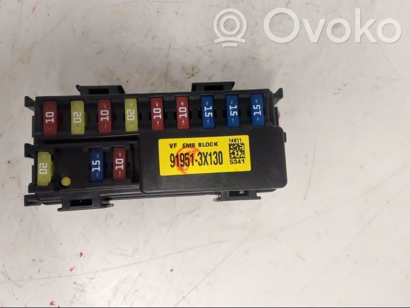 Sulakemoduuli   919513X130