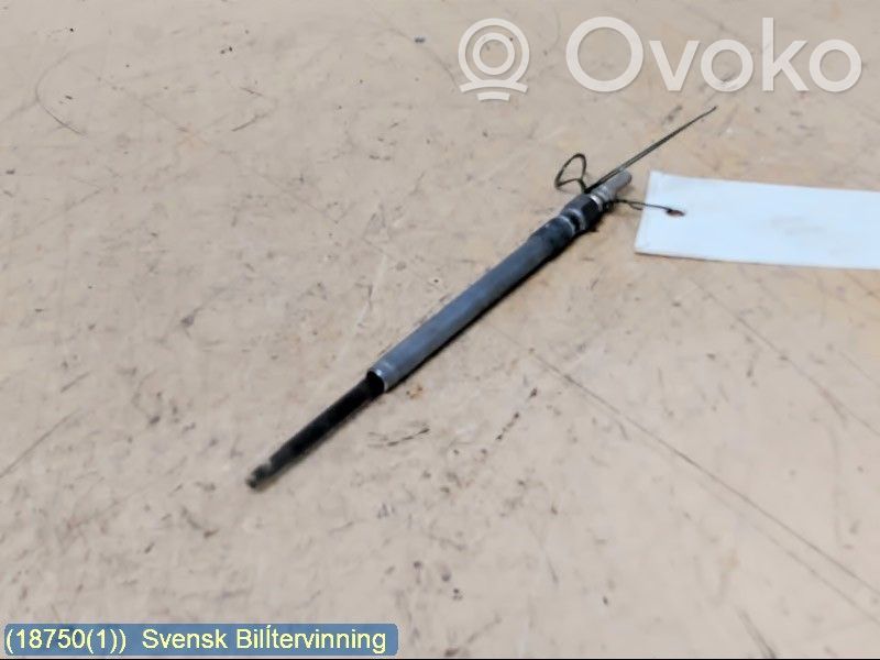 Vorglühkerze   500351992,5011721818