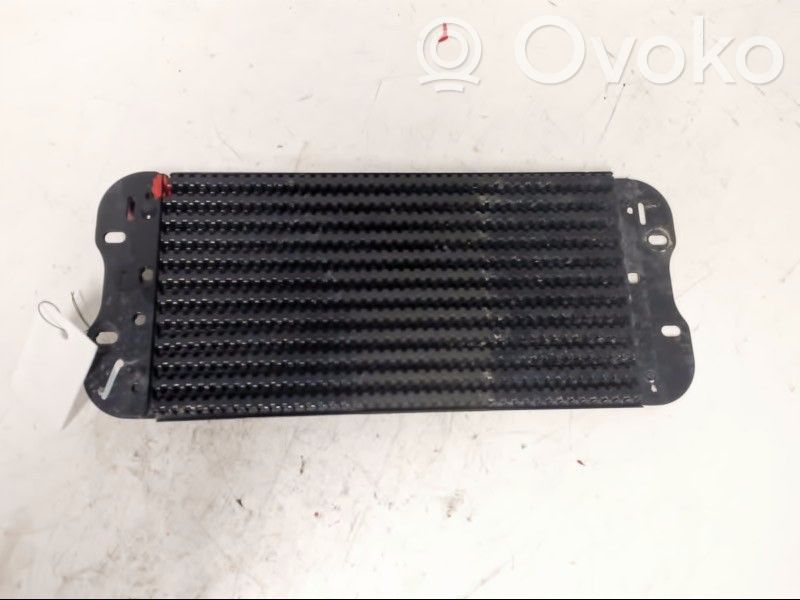 Kraftstoffkühler   175103180R,175103180R