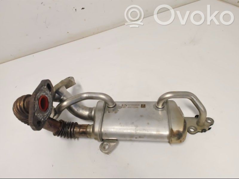 Nissan NV200 Valvola di raffreddamento EGR 