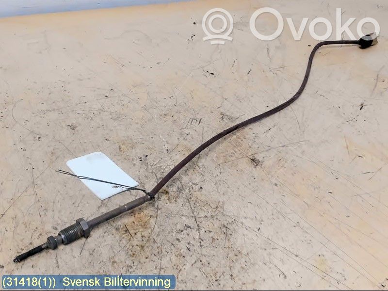 Abgastemperatursensor   226408209R,226408209R