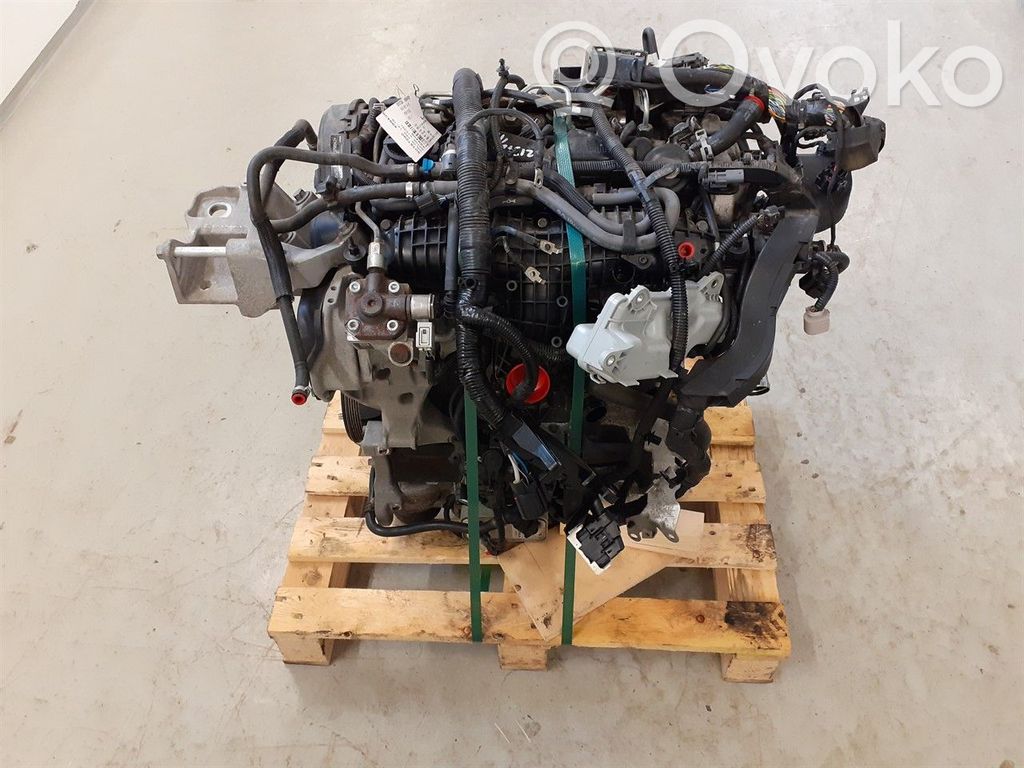 Variklis   6906633