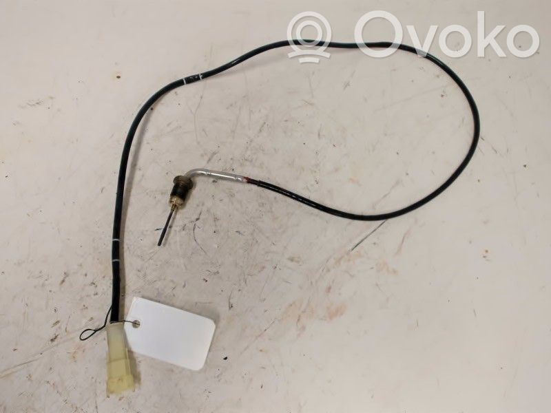 Fiat Ducato Abgastemperatursensor 