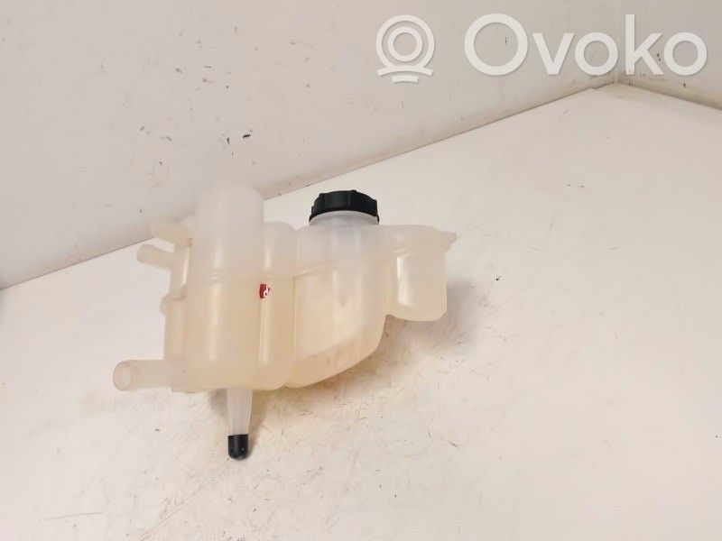 Ford Mondeo MK V Serbatoio di compensazione del liquido refrigerante/vaschetta 