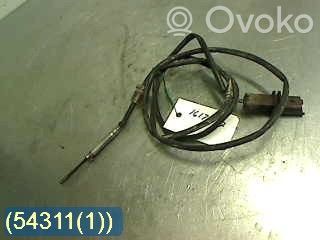 Peugeot 407 Sensor de temperatura del escape 