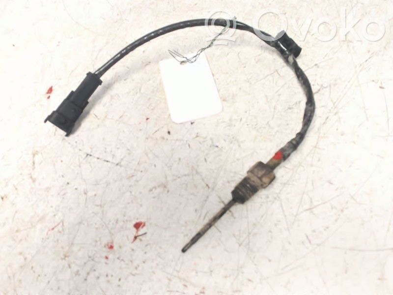 Abgastemperatursensor   392212A860