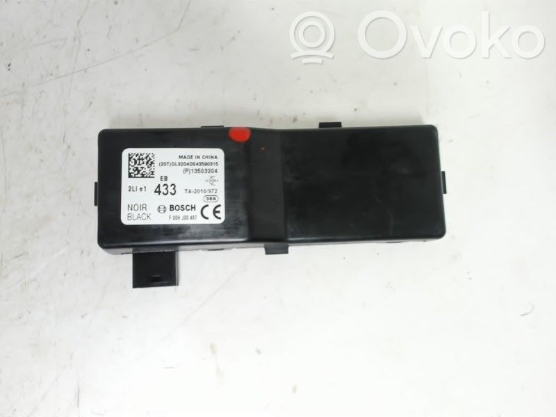 Radion antenni   13503204,F00HJ00487,13503204