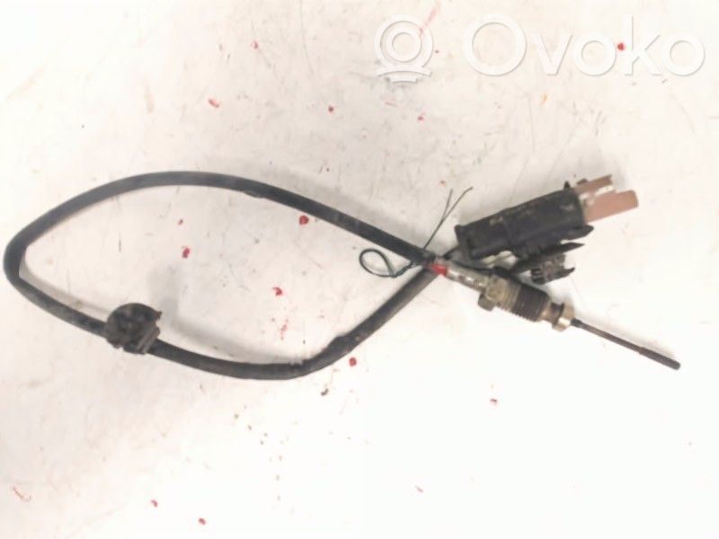 Exhaust gas temperature sensor   1618LW