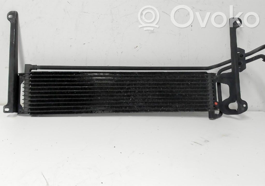 Volkswagen Tiguan Radiatore dell’olio del cambio 