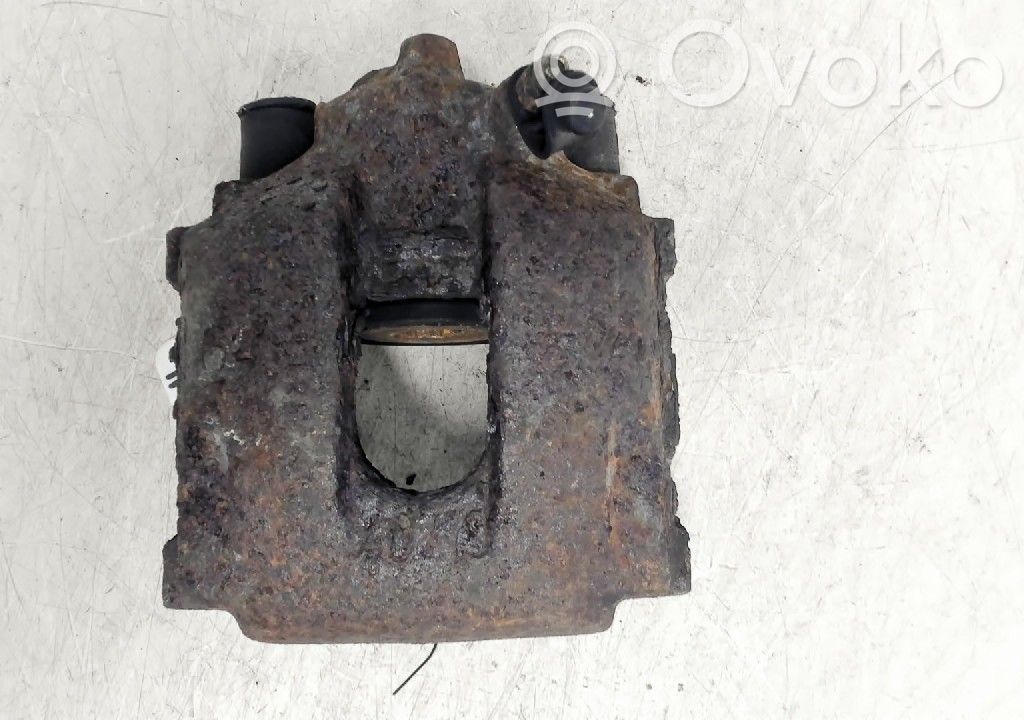 Takajarrusatula   34216758136