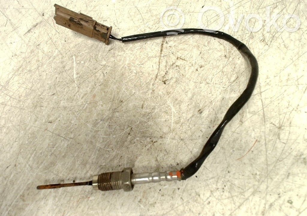 Abgastemperatursensor   1618NF,9665090280