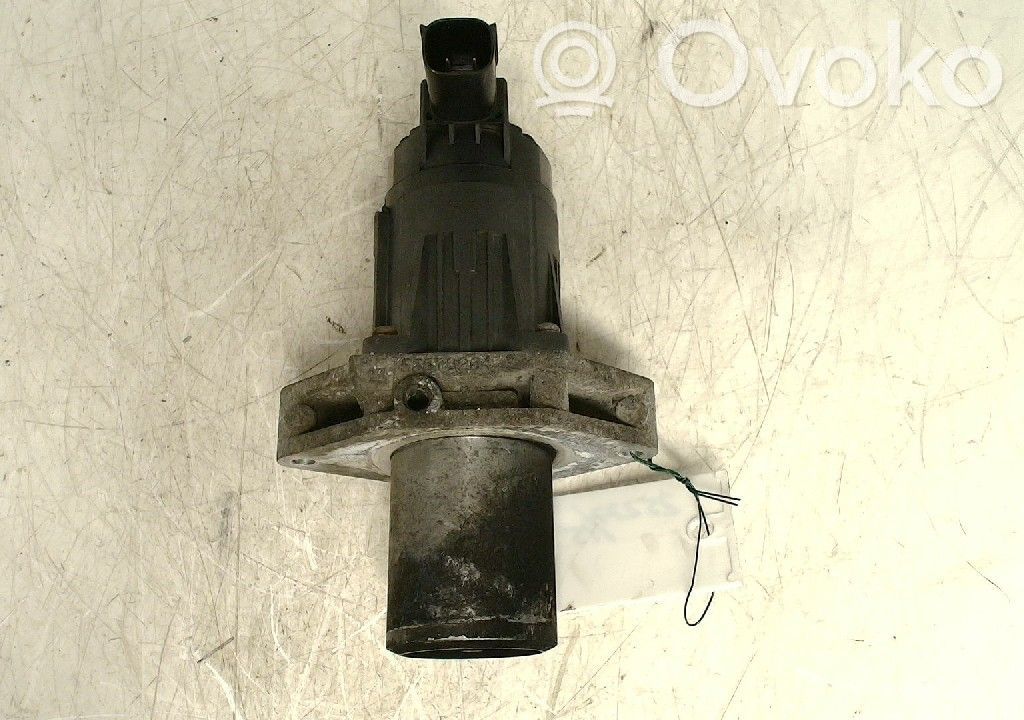Opel Insignia A Valvola EGR 