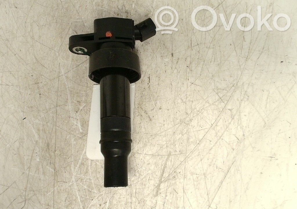 Bobina di accensione ad alta tensione   273012B100,273012B100
