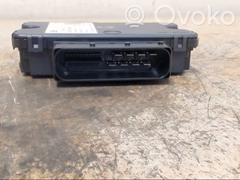 Module de commande de frein à main   97061810909,10095103073,97061810909