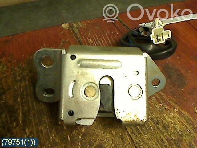 Tailgate/trunk/boot lock/catch/latch   MEDMICROBRYTARE
