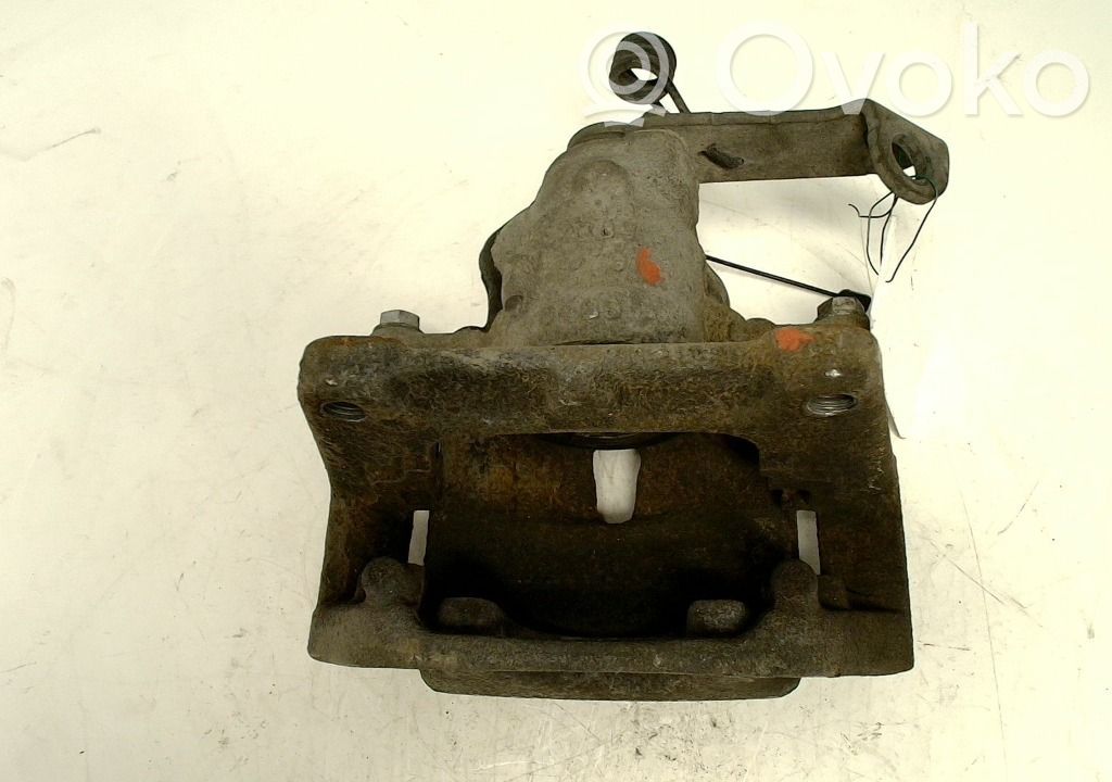 Takajarrusatula   1617937680