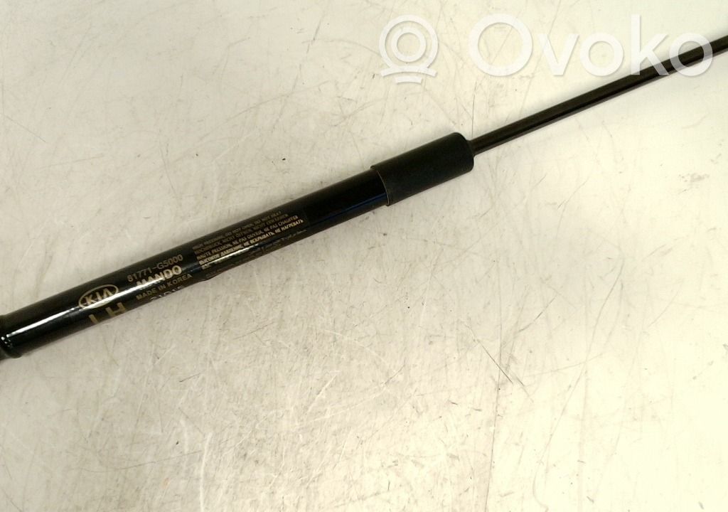 Tailgate strut   81771G5000,81771G5000,81771G5000