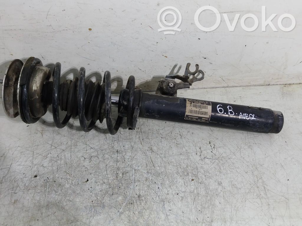 Stoßdämpfer vorne   6789574