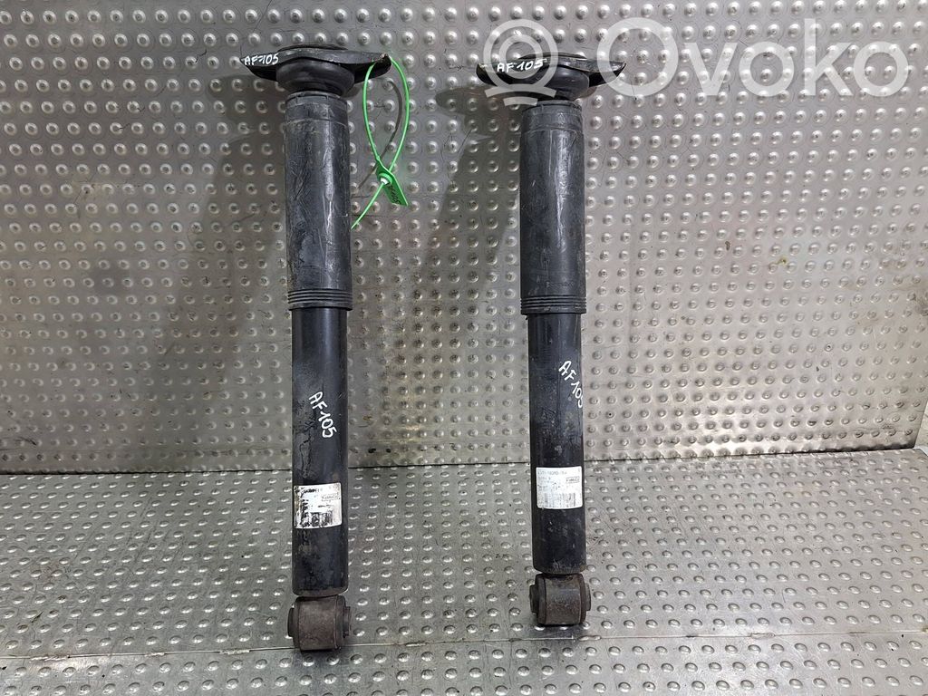 Ford S-MAX Stoßdämpfer hinten 