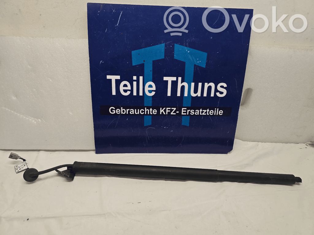 Ford Mach-E I Tailgate/trunk/boot lid 