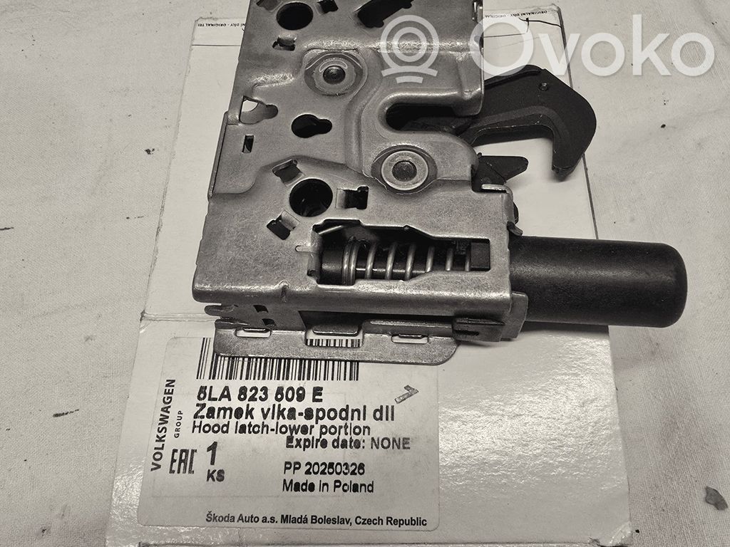 Skoda Enyaq iV Capotă motor 