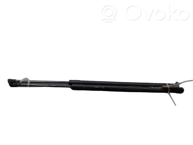 Opel Antara Tailgate/trunk strut/damper 