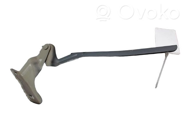 Nissan Note (E12) Engine bonnet/hood hinges 