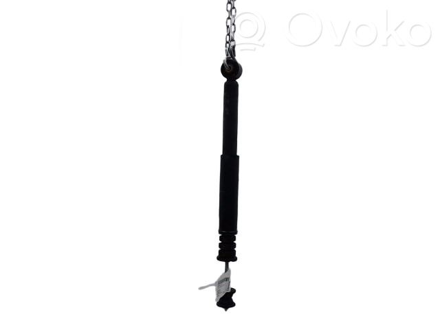 Renault Clio III Rear shock absorber/damper 